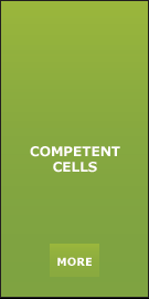 COMPETENT CELLS