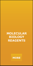 MOLECULAR BIOLOGY REAGENTS